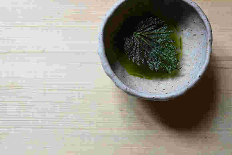 Nettle — b71e0f67d964d9ee