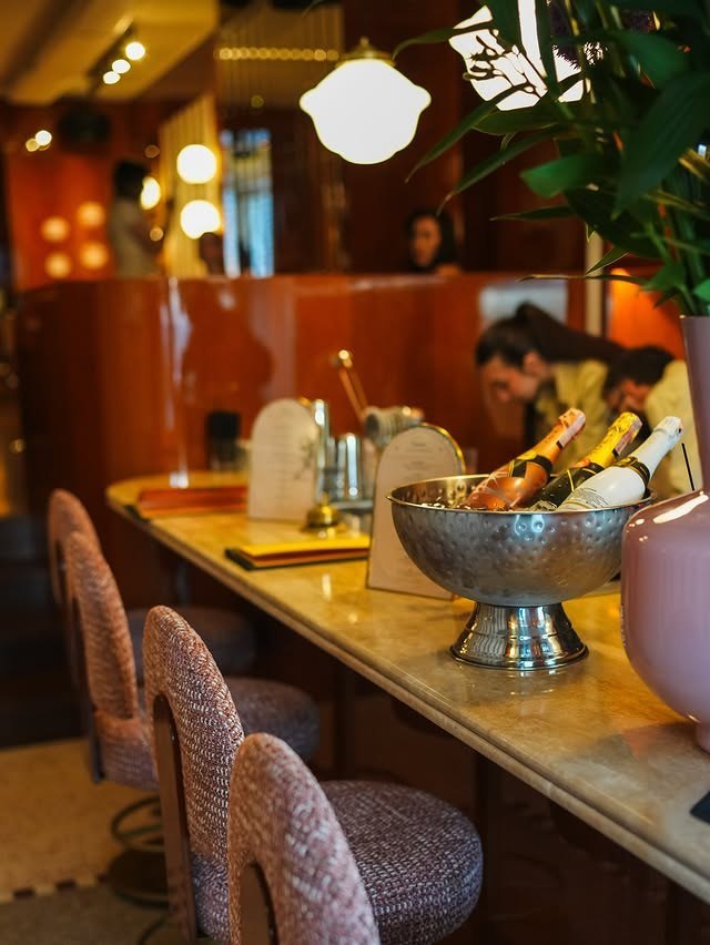 Dandy — Istanbul Muse