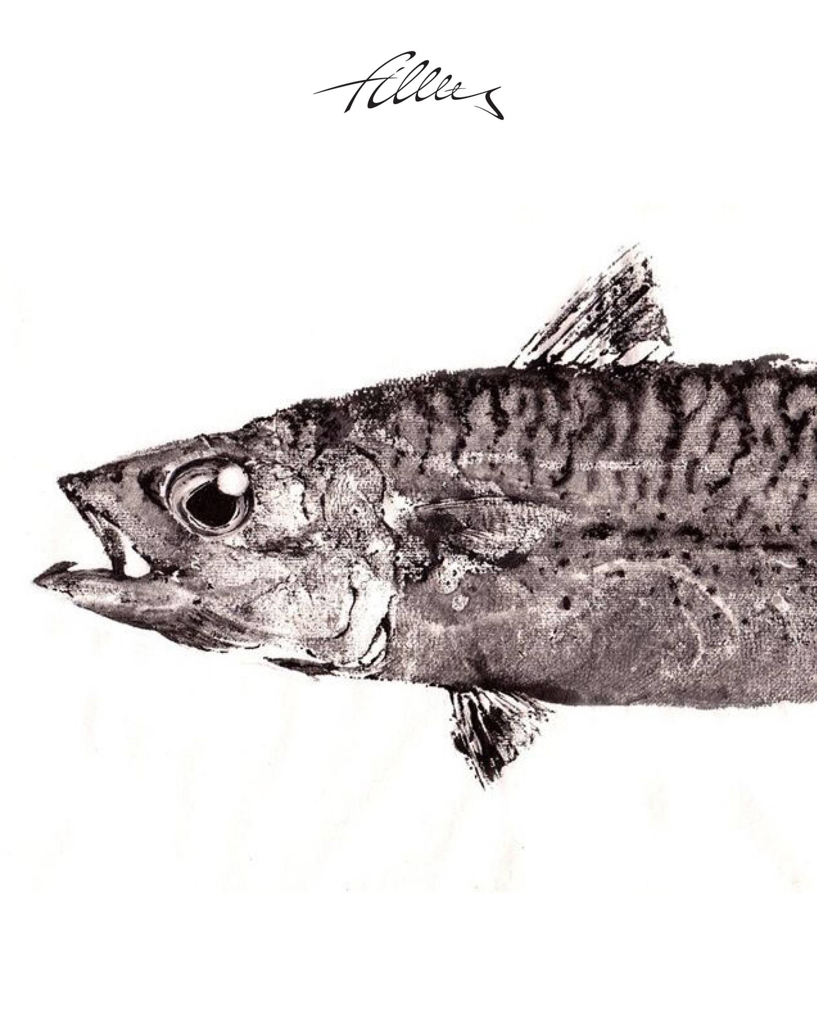 Fish at Fillets