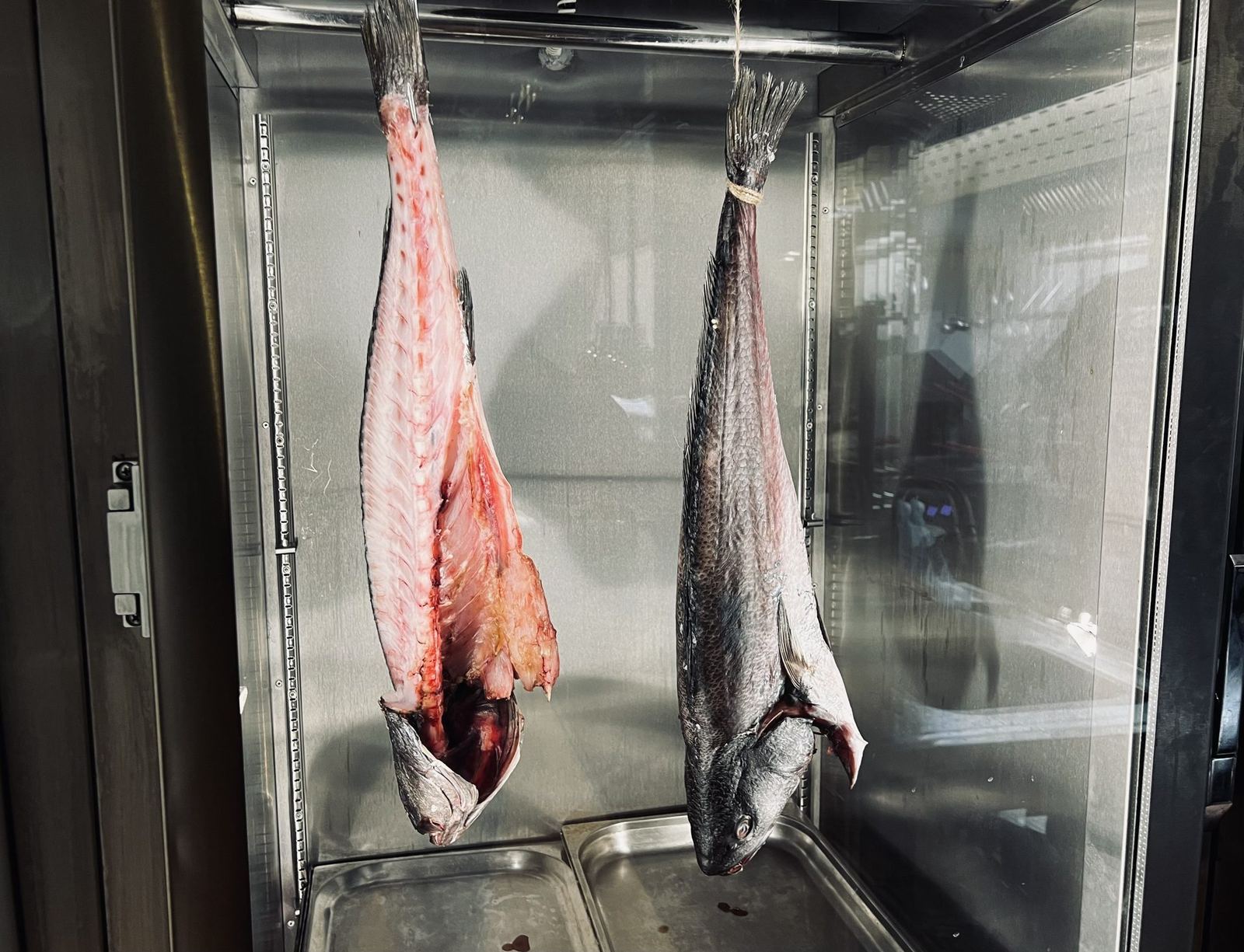 Lips Wine Bar — Müdavim