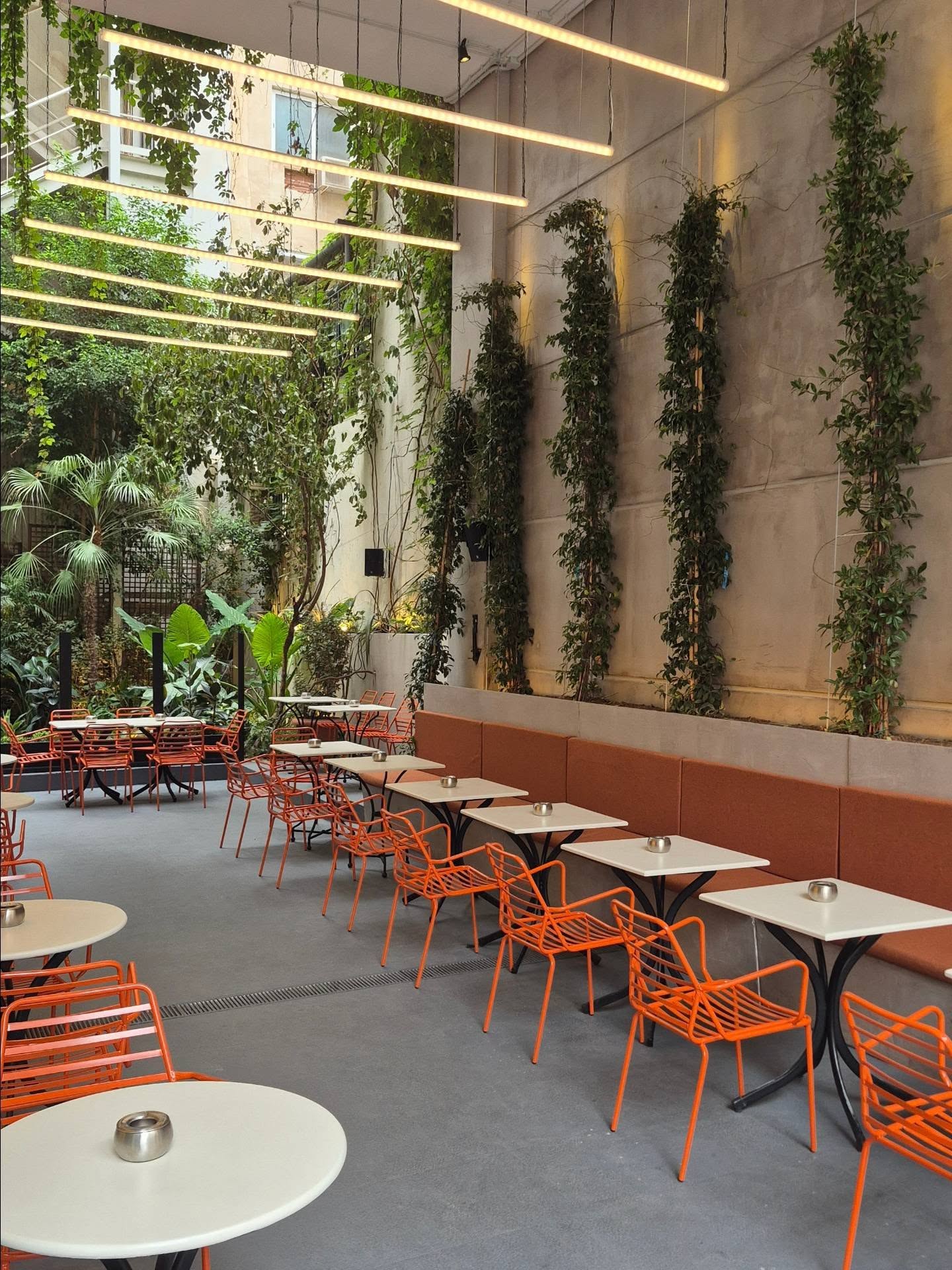 Sinafi — sinafiathens