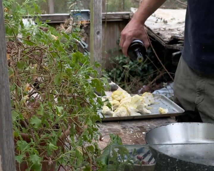 The Salad Project — the.salad.project