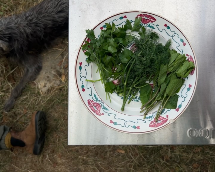 The Salad Project — the.salad.project