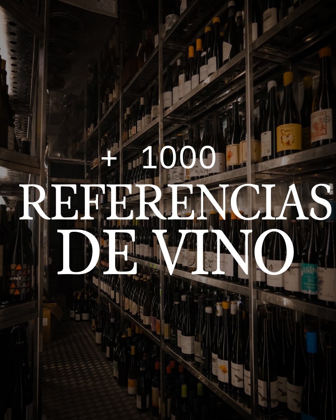 The room at Vertical